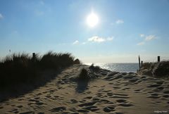 Dünenübergang am Ellenboden/Listland/Sylt bei Gegenlicht