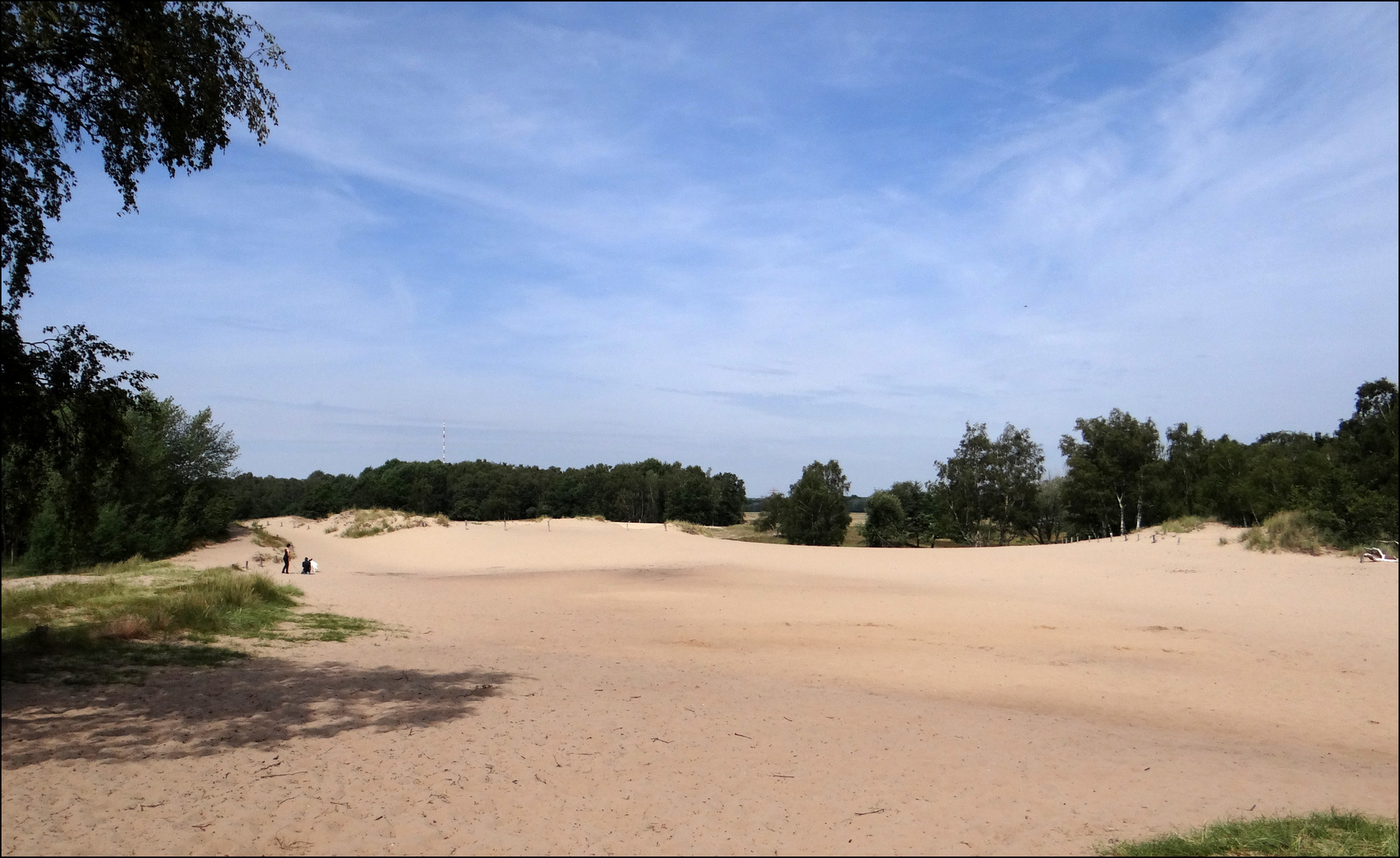 Dünen....und kein Meer weit und breit