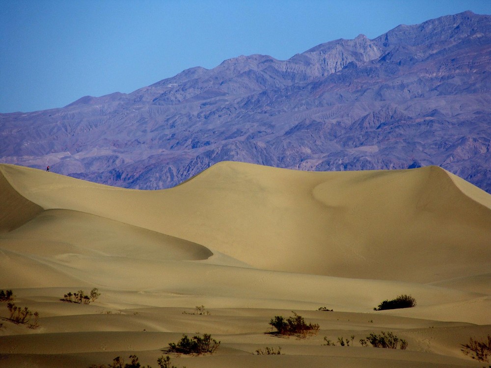 Dünenwandern in der Mojave