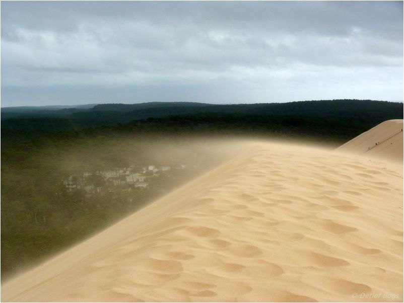 Dünenwanderung