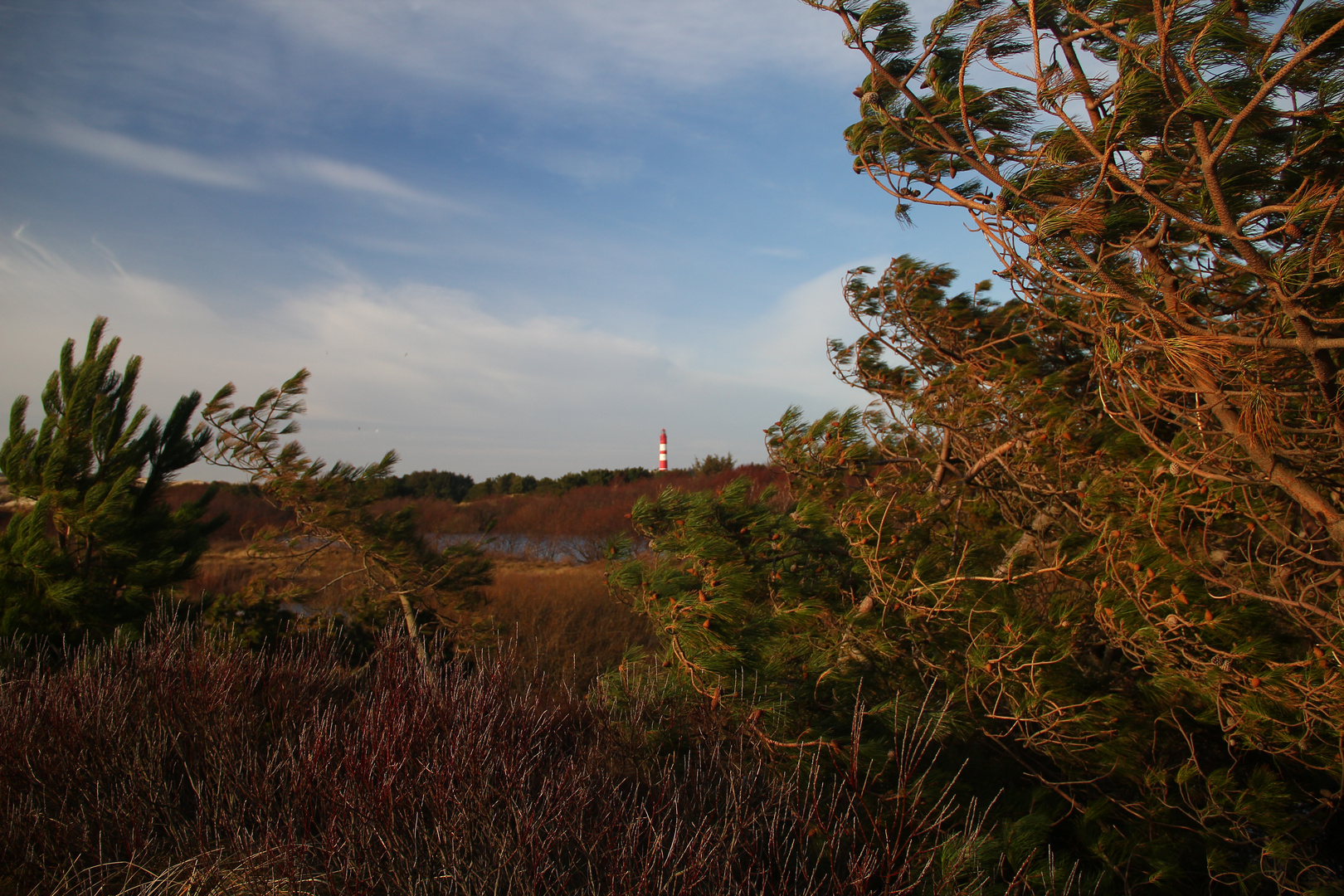 Dünenwanderung