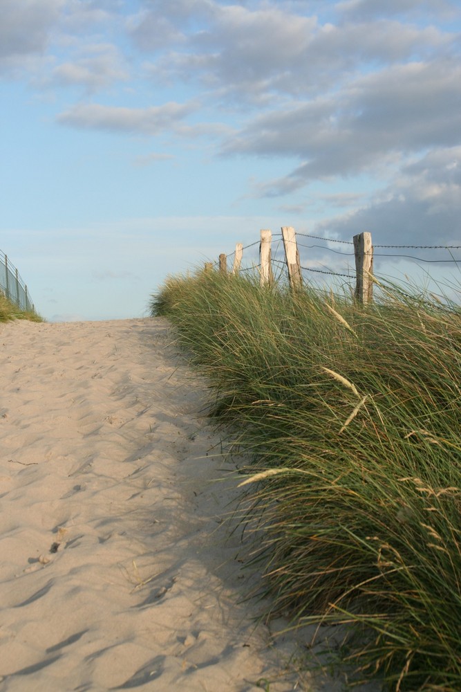 Dünenweg Foto & Bild landschaft, wege und pfade, natur Bilder auf