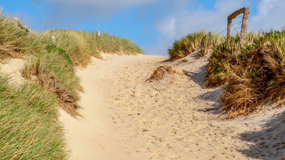 Dünenweg Foto & Bild landschaft, meer & strand, dünen Bilder auf