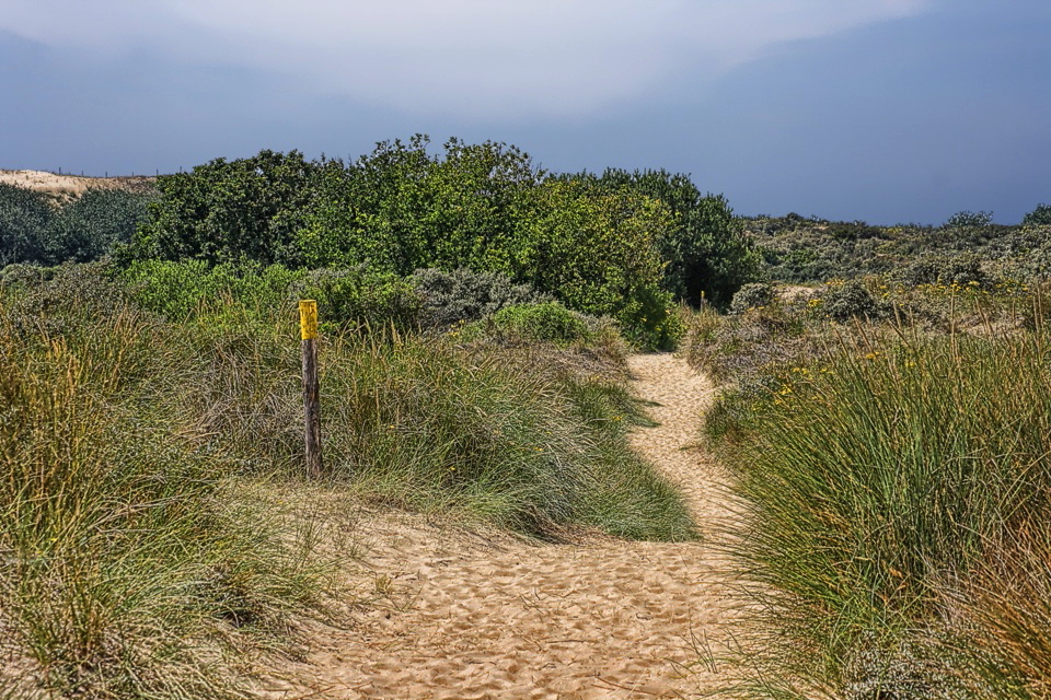 Dünenweg