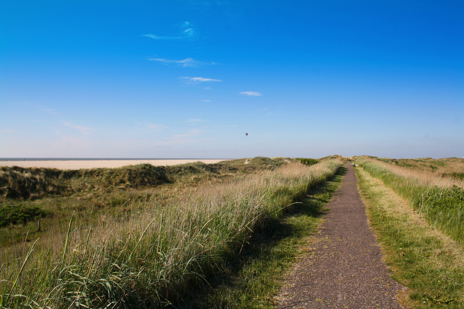 Dünenweg am Strand von St.PeterOrding Foto & Bild landschaft, wege