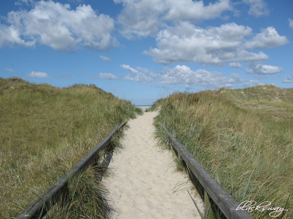 Dünenweg an den Strand