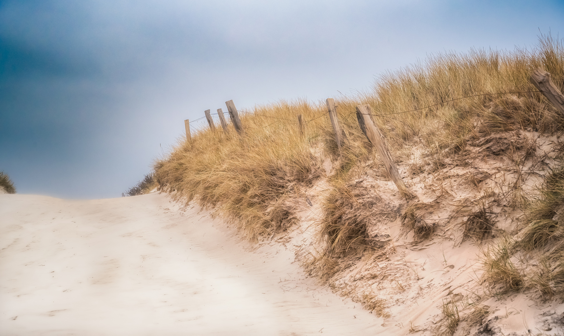 Dünenweg an der Strandoase