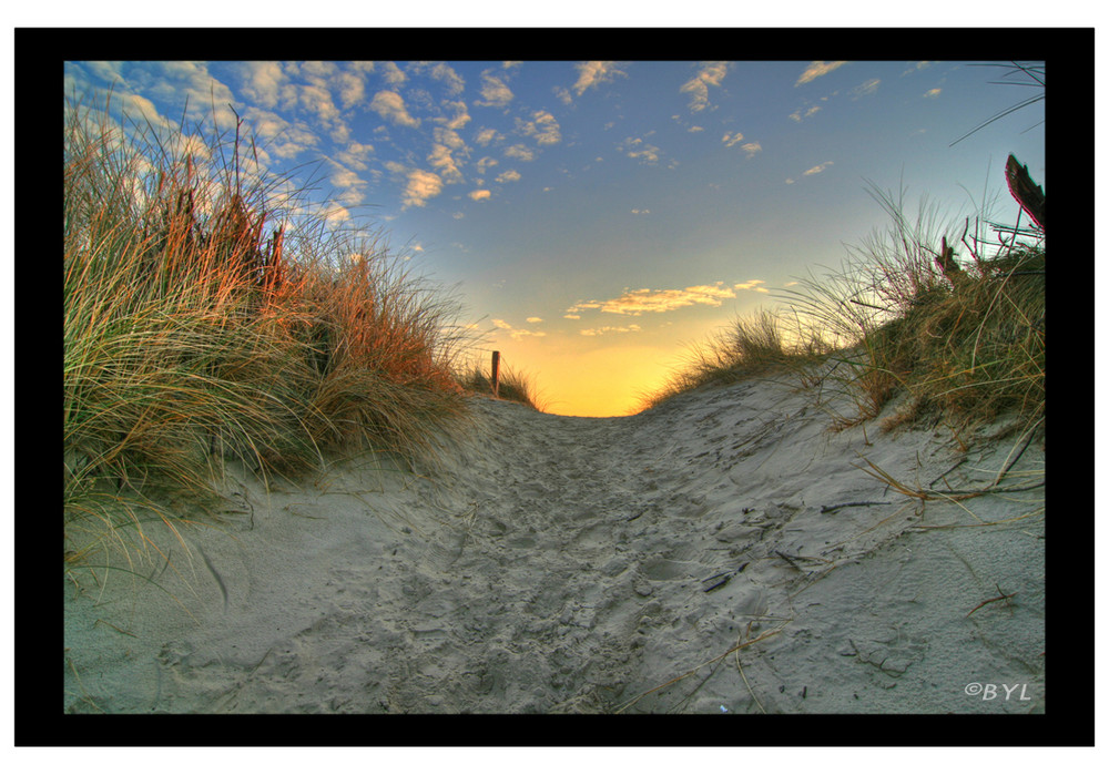 Dünenweg - Borkum