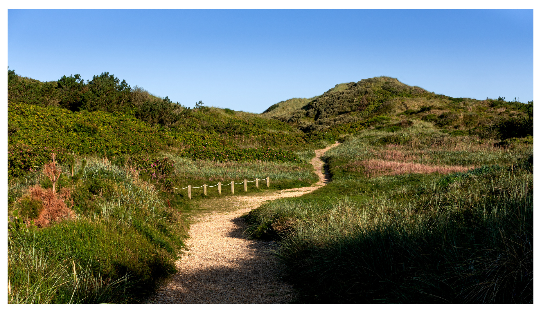 Dünenweg