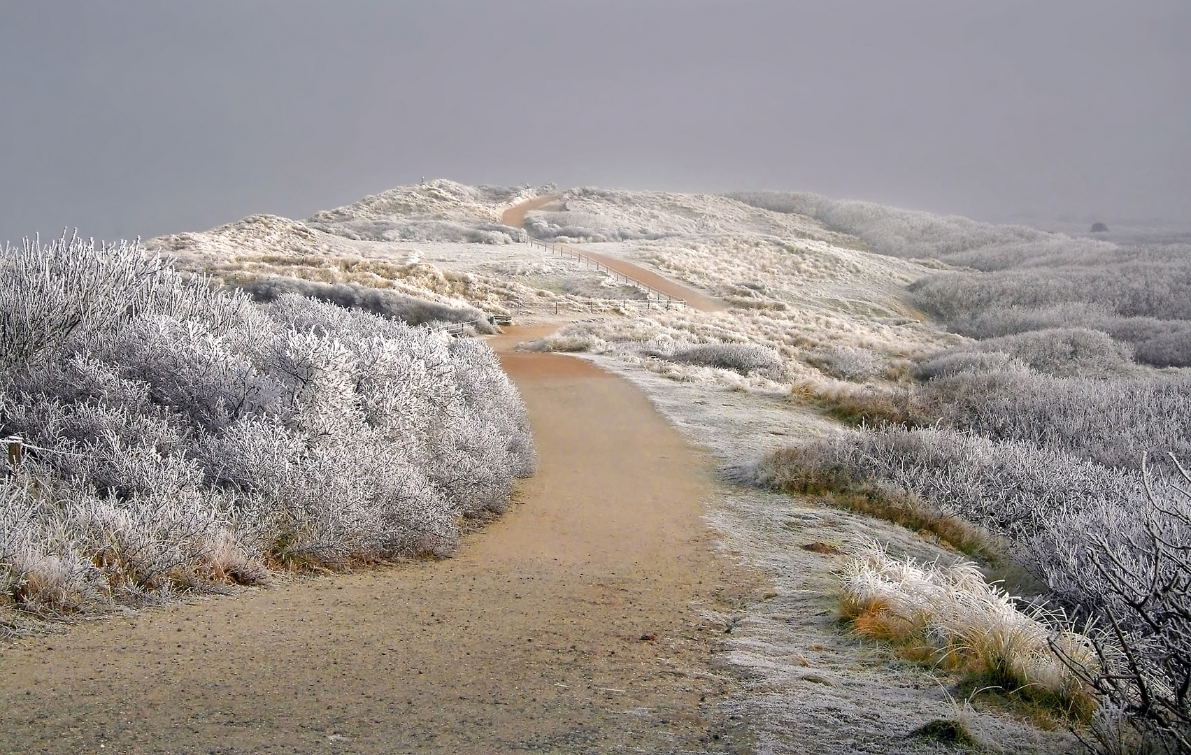 Dünenweg im Winter