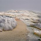 Dünenweg im Winter