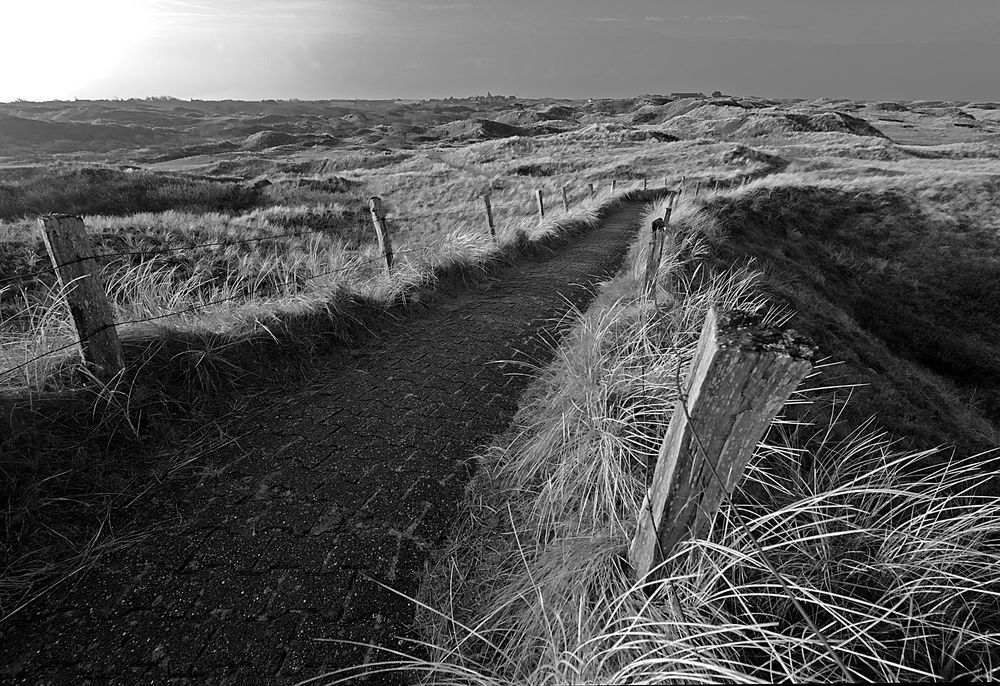 Dünenweg mit Rauhreif