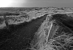 Dünenweg mit Rauhreif