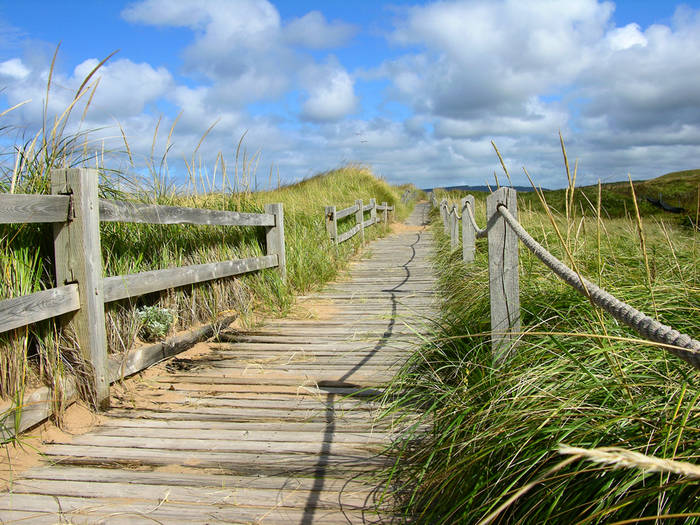 Dünenweg, Nova Scotia Canada (35mm)