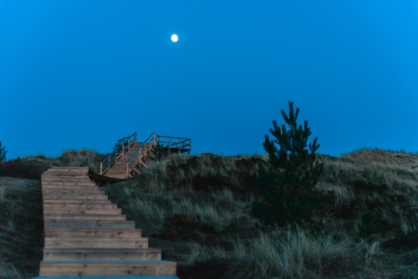 [ Dünenweg & Vollmond, Süddorf, Amrum ]