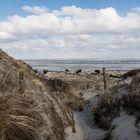 Dünenweg zum Nordstrand