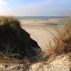 Dünenwelt auf Amrum