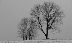 Dünne Schneedecke