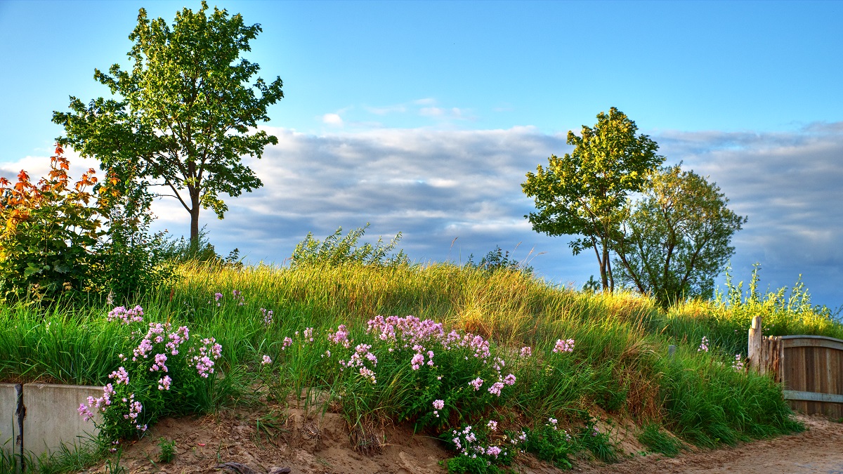 Dünnen Landschaft  