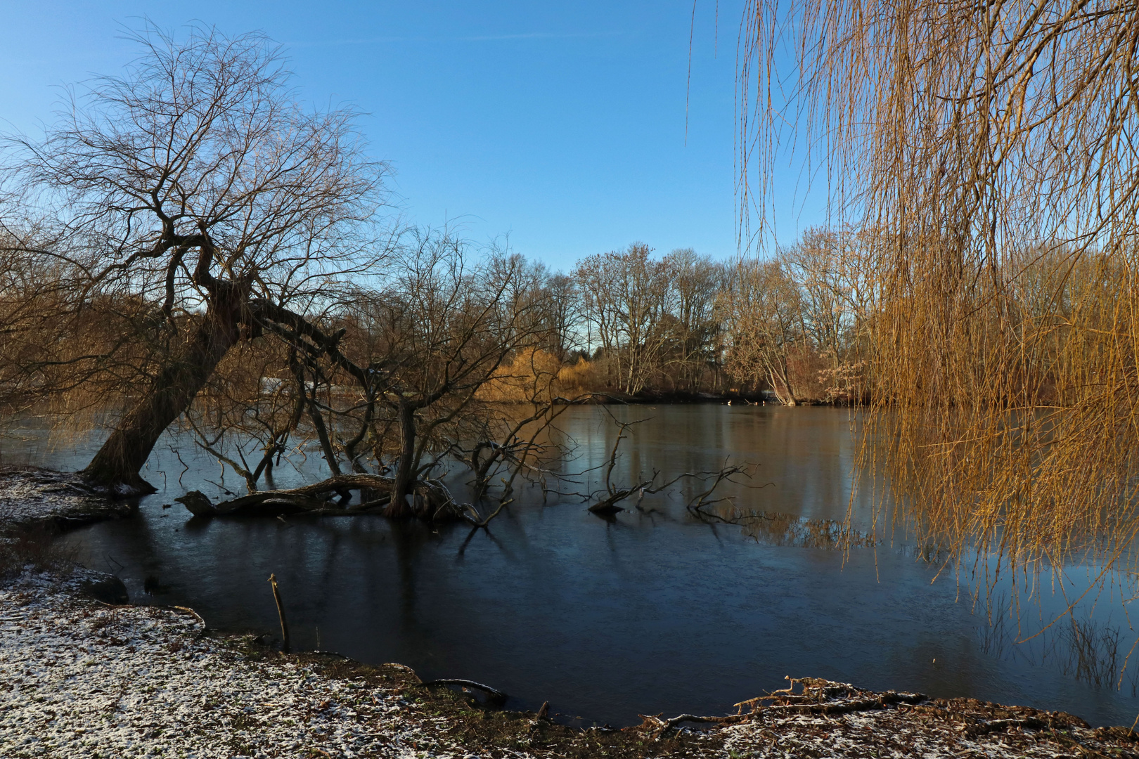 Dünnes Eis auf dem Teich Foto & Bild landschaften, januar, bäume
