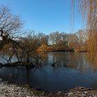 Dünnes Eis auf dem Teich