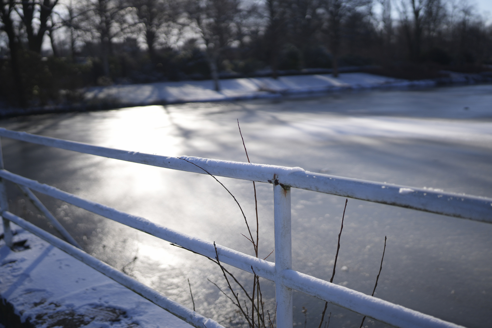 dünnes Eis auf dem Teich