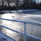 dünnes Eis auf dem Teich