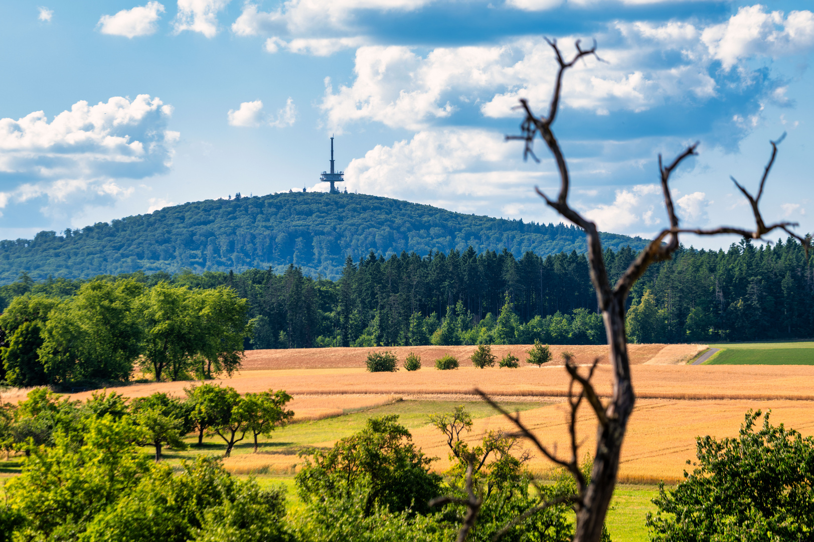 Dünsberg