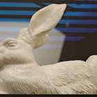 Dürer Hase in Plastik