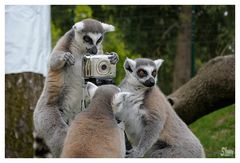 Dürfen wir Sie fotografieren?