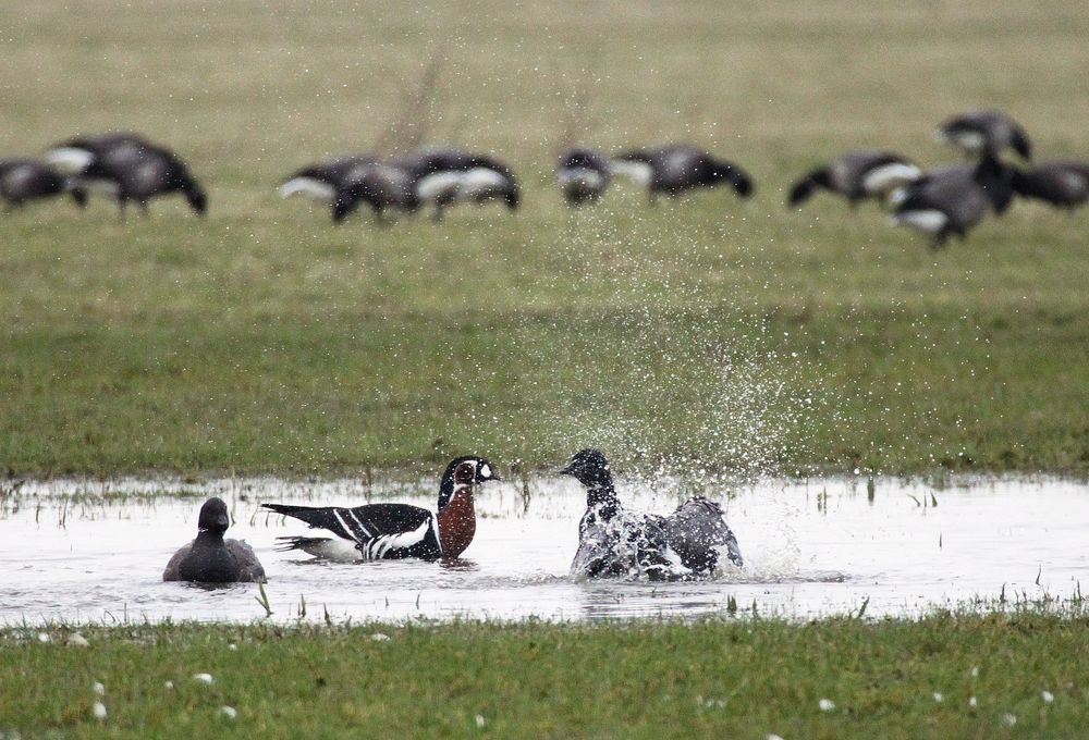 Dürfte ich mal Ihre Dusche mitbenutzen?