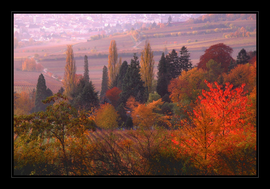 Dürkheimer Herbst