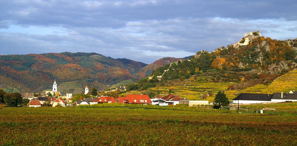 Dürnstein Panorama