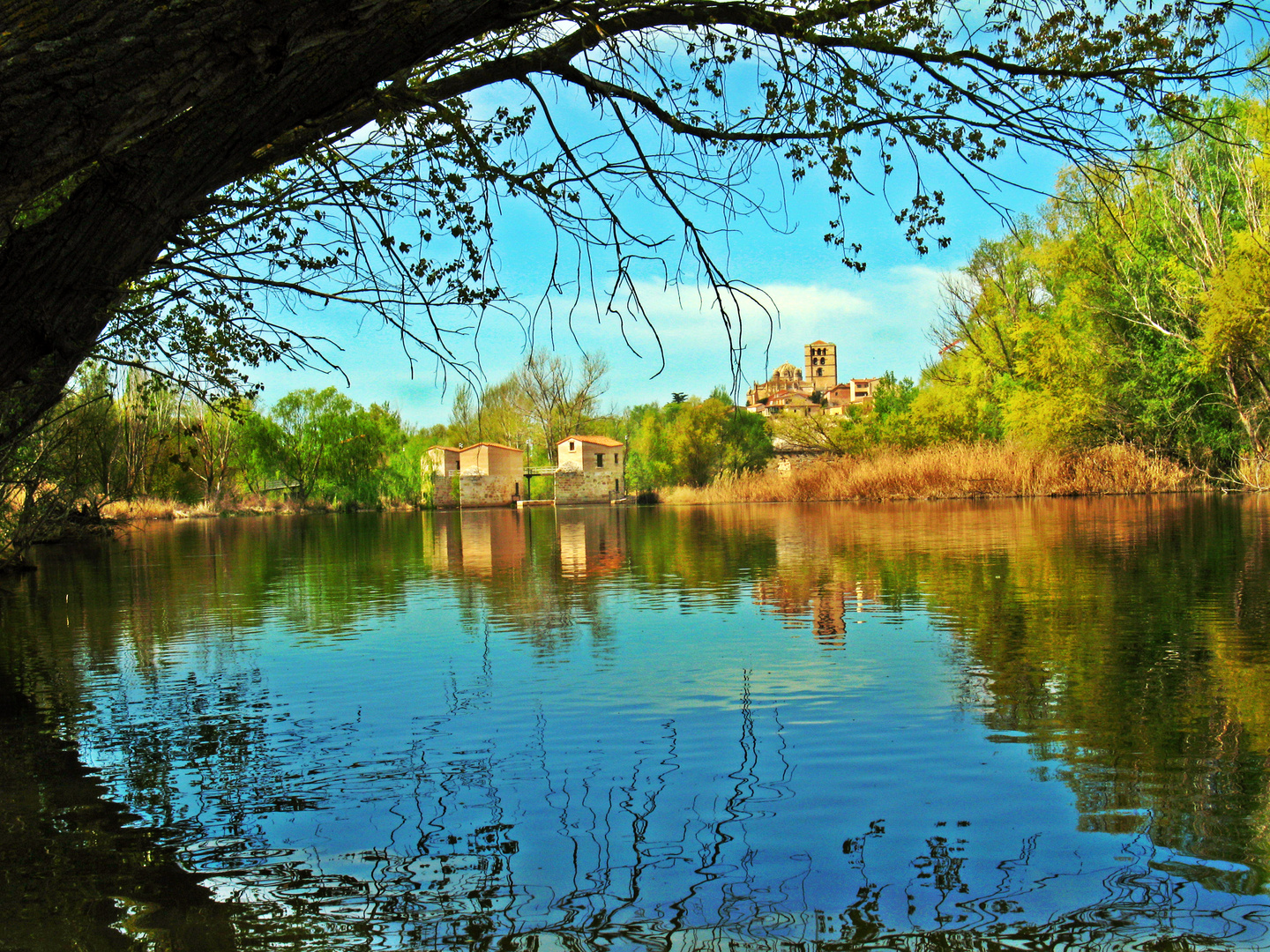 Duero. Zamora.