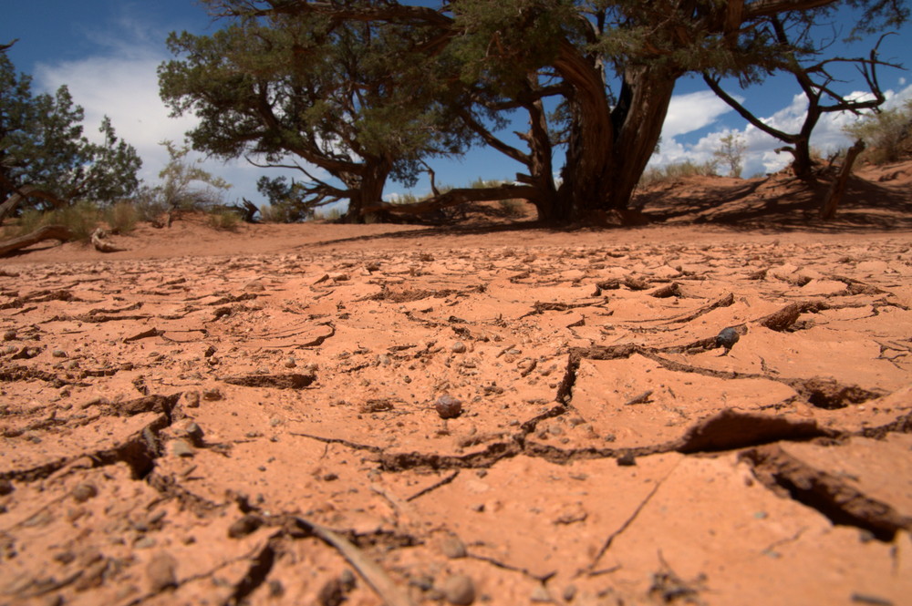 Dürre Foto & Bild | landschaft, wüste, reise Bilder auf fotocommunity