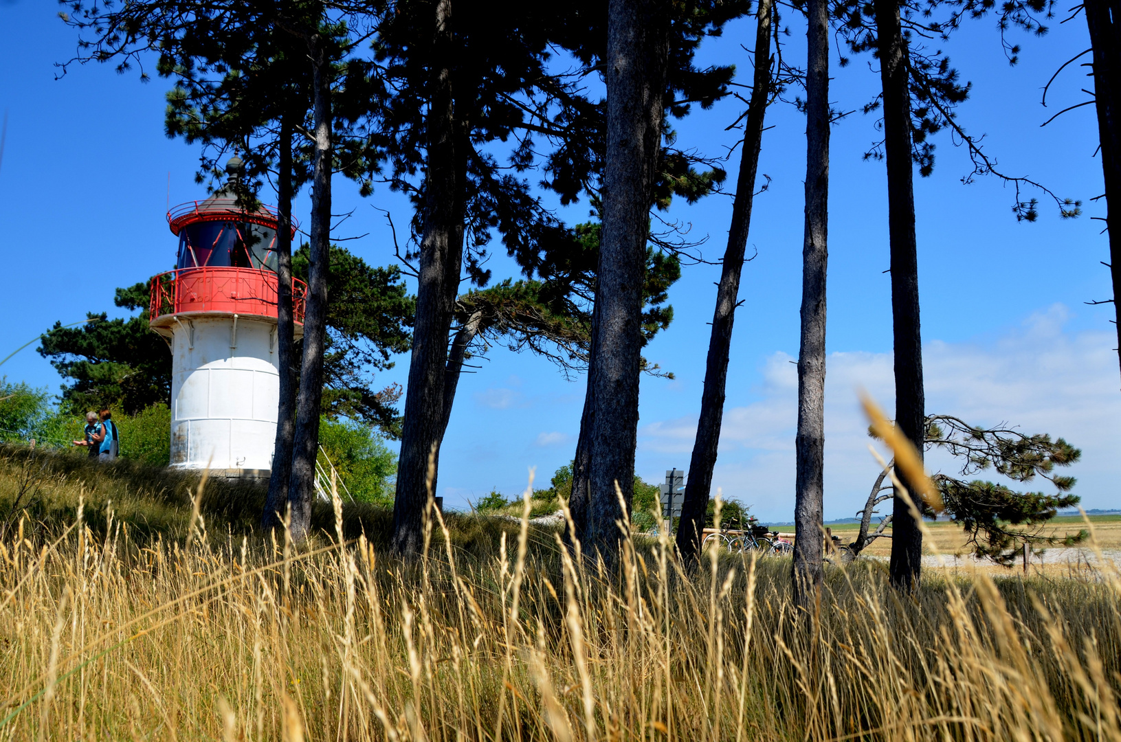 Dürre am Leuchtturm Gellen 2018