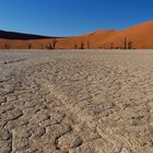 Dürre im Dead Vlei, Namibia