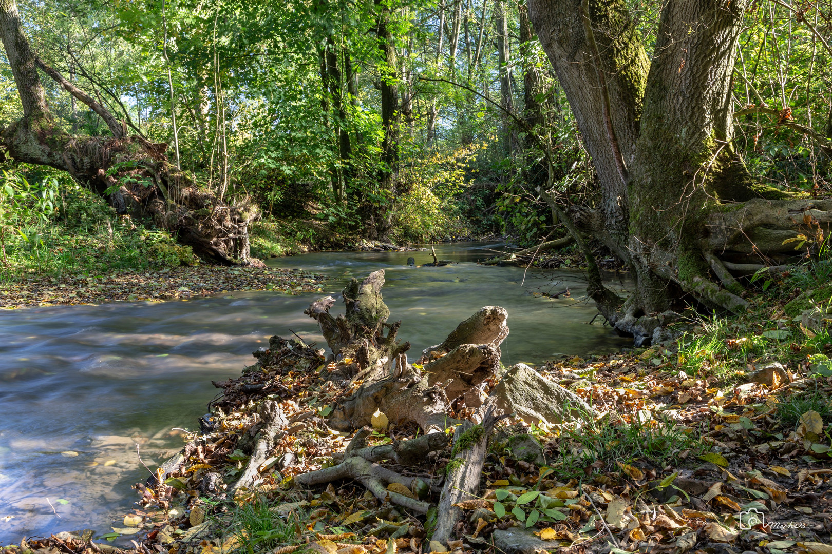 Düssel bei Schöller