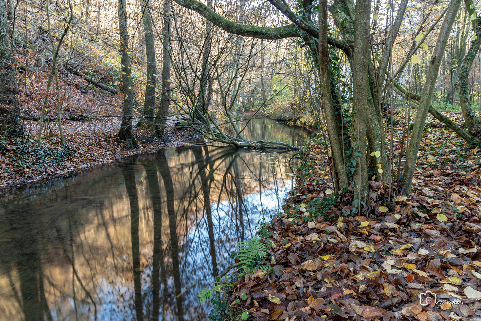 Düssel im Neandertal