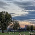  Düsseldorf am Rhein .....