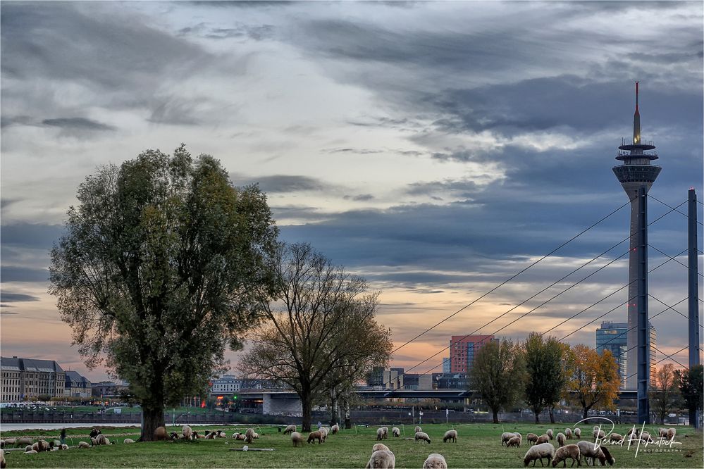  Düsseldorf am Rhein .....