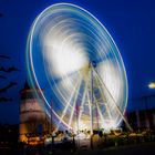 Düsseldorf am Rhein