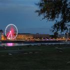  Düsseldorf am Rhein ..... AlarmstufeRot 