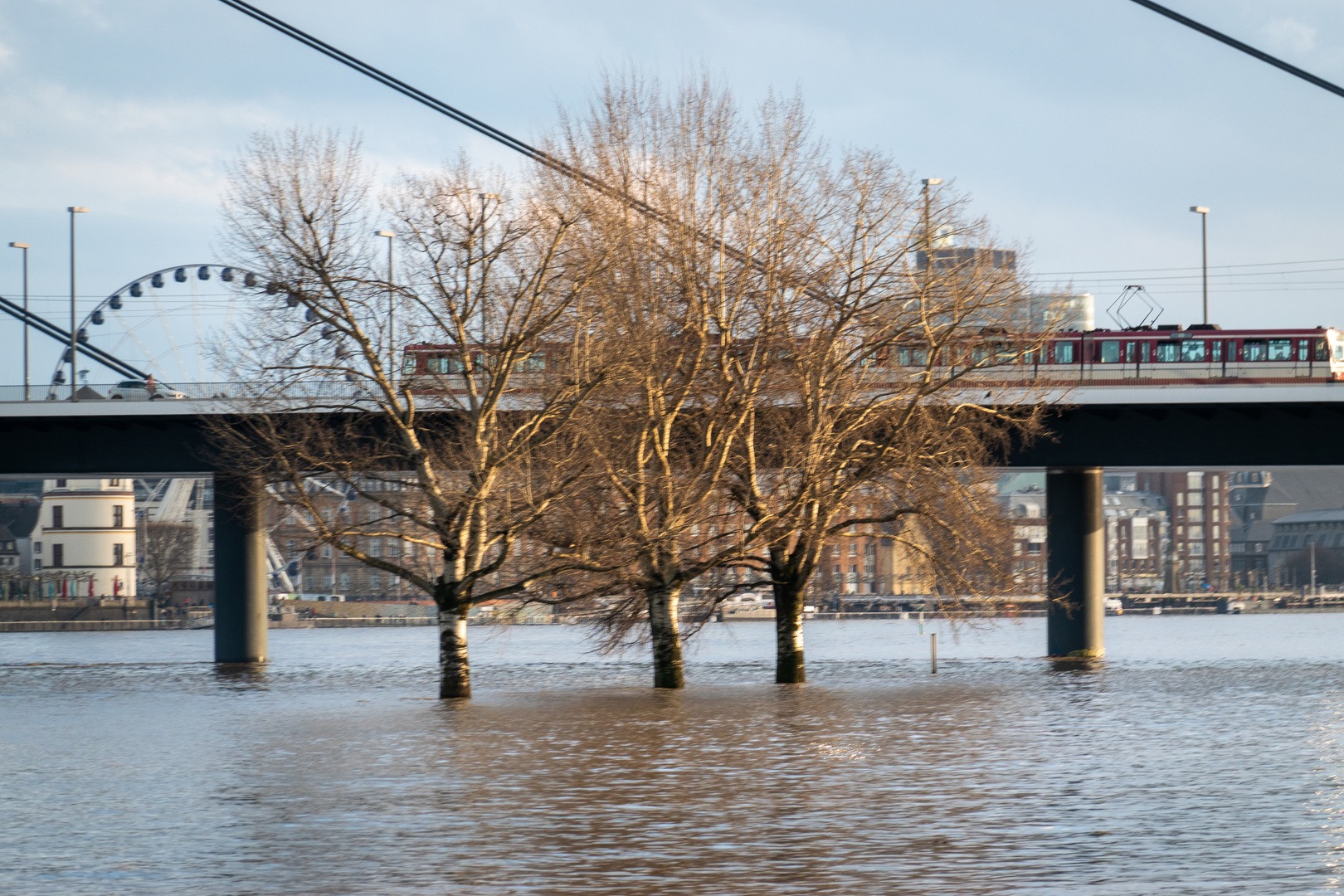 Düsseldorf bei Hochwasser 