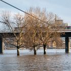 Düsseldorf bei Hochwasser 