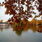 Düsseldorf-Benrath - Blick auf das Schloss