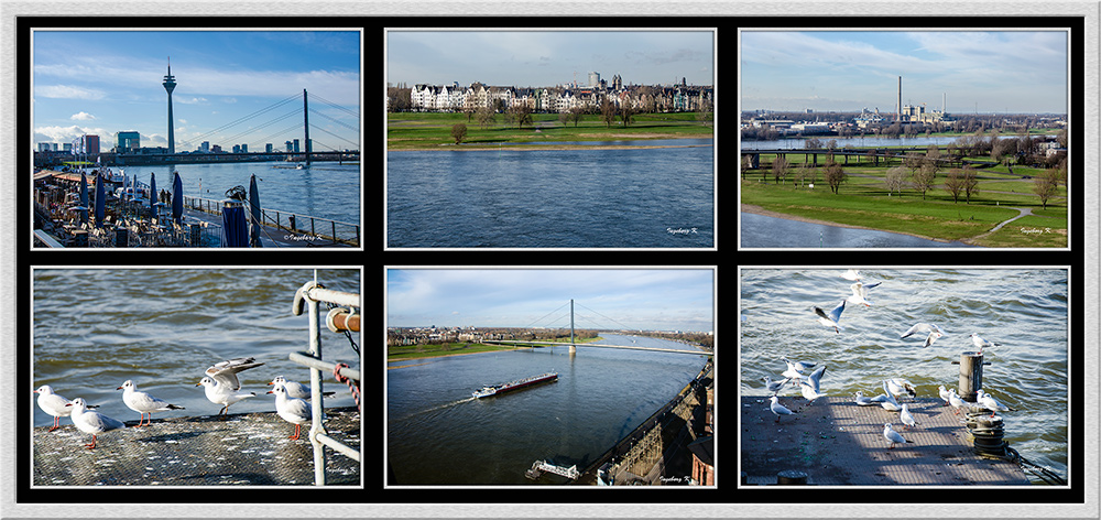 Düsseldorf - Blick auf Altstadtufer, Oberkassel, Kraftwerk, Oberkassler Rheinbrücke