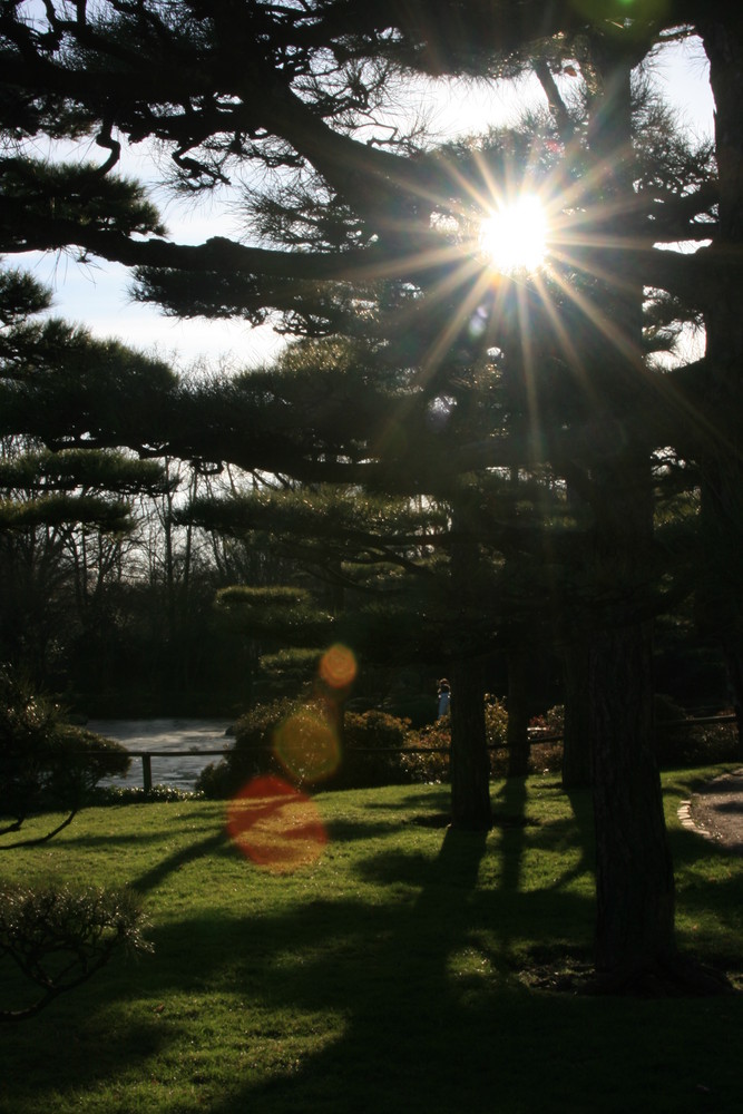 Düsseldorf Chinagarten