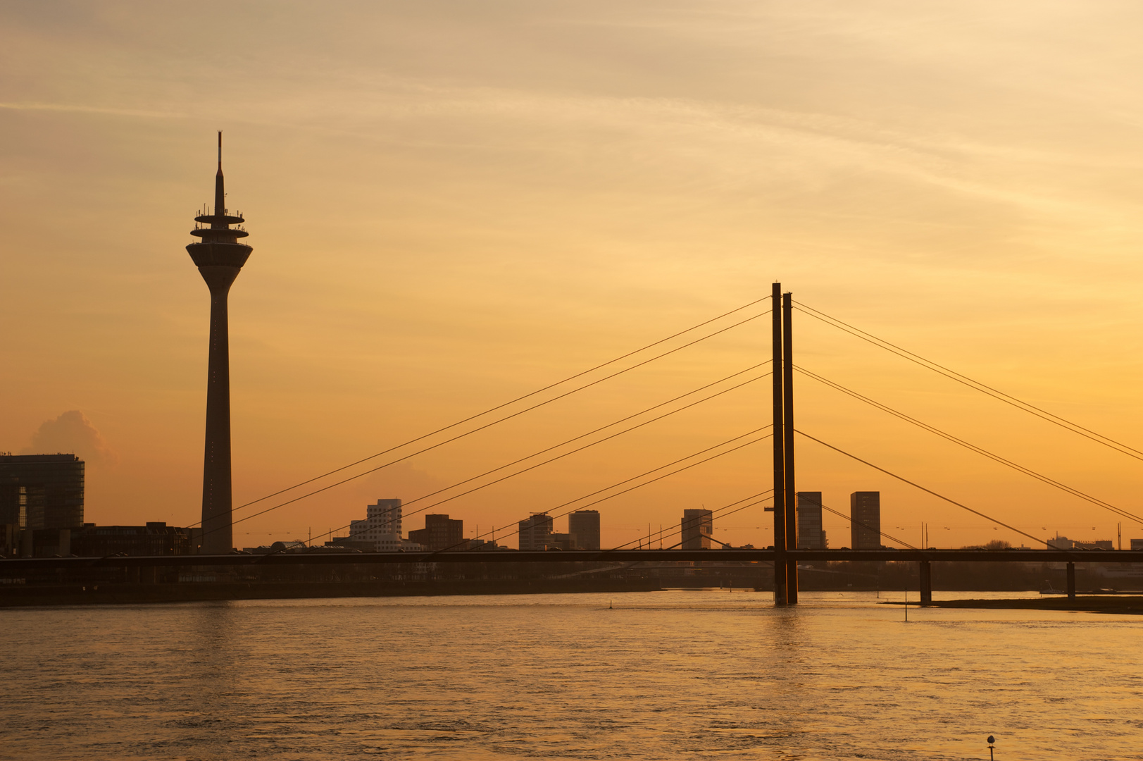 Düsseldorf Dusky