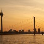 Düsseldorf Dusky